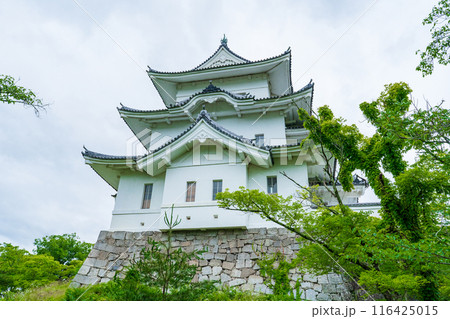 三重県　梅雨の雨上がりの伊賀上野城 116425015