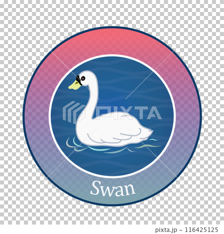Swan emblem illustration 116425125