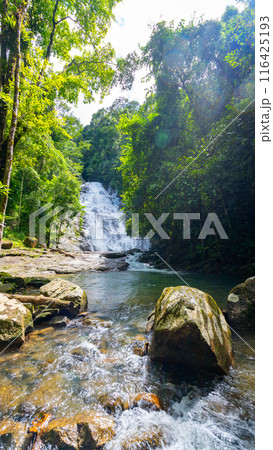 Waterfall in Abundant Clear Stream in the forest, Small waterfall river with clear water in the morning light nature background Waterfall in Abundant Clear Stream in the forest, Small waterfall river with clear water in the morning light nature background 116425193