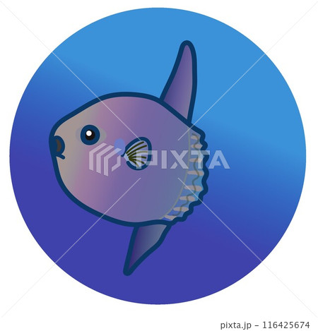 マンボウのイラスト 116425674