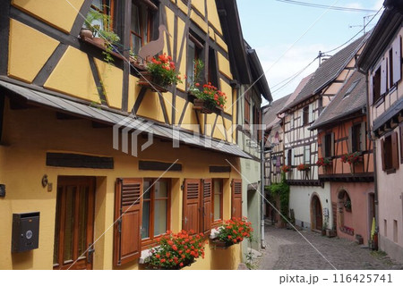 エギスハイムの町並み＠フランス 116425741