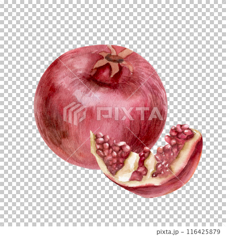 Red fresh pomegranate ripe with half pieces in seeds watercolor illustration. Hand drawn exotic fruit clip art for juice packing, label, logo, sauce bottle design. Fresh coctail decor, cosmetics pack Red fresh pomegranate ripe with half pieces in seeds watercolor illustration. Hand drawn exotic fruit clip art for juice packing, label, logo, sauce bottle design. Fresh coctail decor, cosmetics pack 116425879