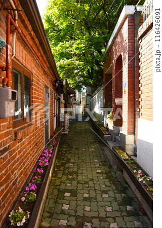 赤レンガのある石畳の道 116426091