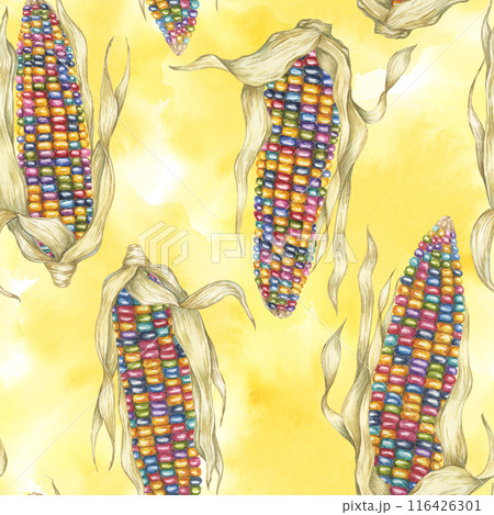 Indian heirloom corn seamless pattern, rainbow cobs on abstract splash watercolor backdrop. Maize fabric print for clothes, kitchen, wallpaper, wrapping, scrapbooking, food packaging, Thanksgiving 116426301