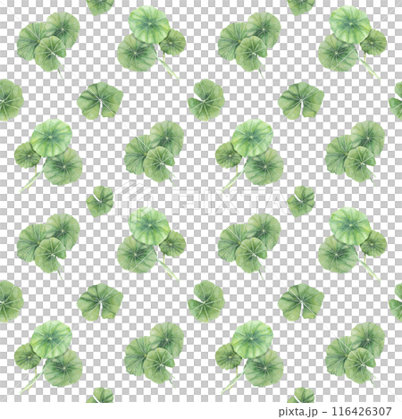 Green centella asiatica seamless pattern, vibrant foliage textile, greenery clipart. Watercolor gotu kola botanical print design for clothes, wallpaper, wrapping paper, scrapbooking, apparel, beauty 116426307
