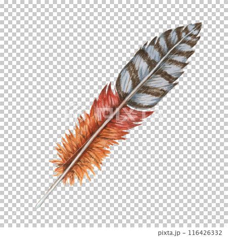 Feather in watercolor combining deep red, orange, brown and dark grey tones. Imaginary Bird plumage clipart for digital art pieces, fashion accessories, and bohemian-themed designs, home decor Feather in watercolor combining deep red, orange, brown and dark grey tones. Imaginary Bird plumage clipart for digital art pieces, fashion accessories, and bohemian-themed designs, home decor 116426332