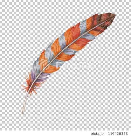 Feather watercolor illustration with combination of orange, red, and blue hues. Bird plumage clipart for use in bohemian-themed designs, digital artwork, and home decor items 116426338