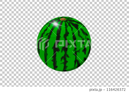 Fresh watermelon illustration 116426372