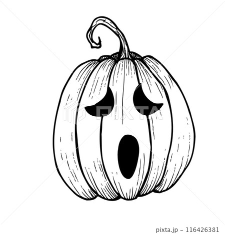 Vector halloween scary pumpkin with black eyes. Hand painted linear illustration. Graphic monochrome art for tattoo, magical hand painting for holiday, horror. Isolated on background. For designers, 116426381