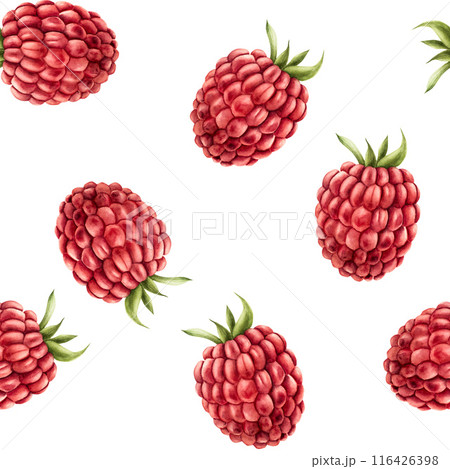 Seamless pattern with sweet ripe raspberry. Hand painting red macro watercolor illustration isolated on background. For designers, menu, shop, decoration, restaurant, for postcards, wrapping paper, 116426398