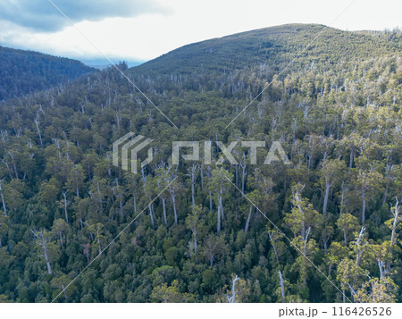 Southwest National Park in Tasmania Australia Southwest National Park in Tasmania Australia 116426526