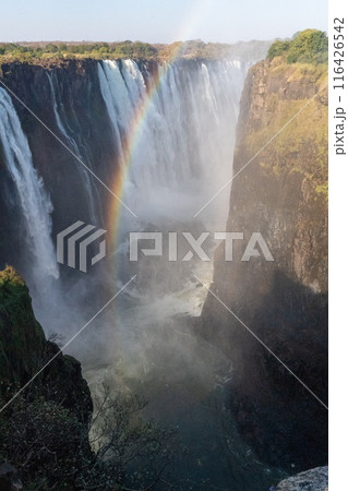 Victoria Falls in Zimbabwe Victoria Falls in Zimbabwe 116426542