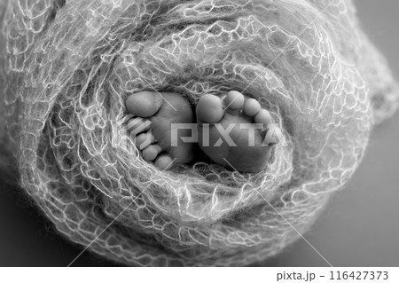 Foot of a newborn. Close up feet, toes, heels, feet of a newborn baby. Studio monochrome, vintage style, black and white macro photography. Foot of a newborn. Close up feet, toes, heels, feet of a newborn baby. Studio monochrome, vintage style, black and white macro photography. 116427373