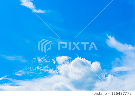 夏雲　イメージ　 116427773