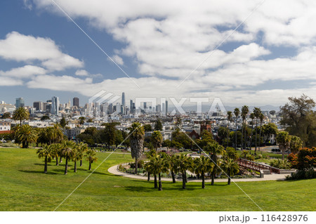 Green park with San Francisco skyline 116428976