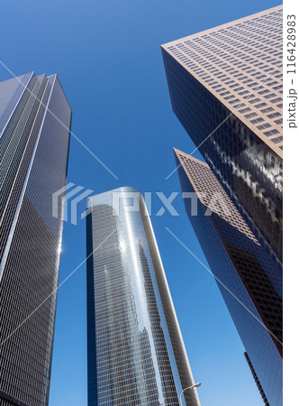 Buildings and skyline of downtown 116428983