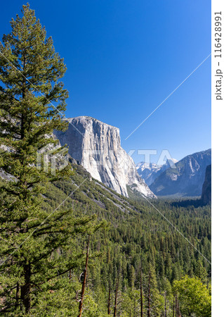 El Capitan mountain in Yosemite National Park 116428991