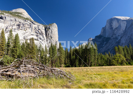 Mountain landscape in Yosemite National Park 116428992