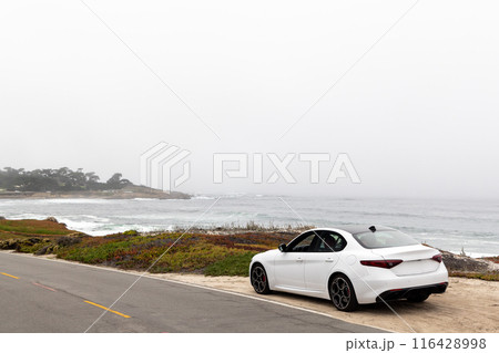 Coastal landscape in California Coastal landscape in California 116428998