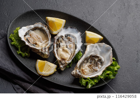 Fresh oysters with lemon on plate 116429058