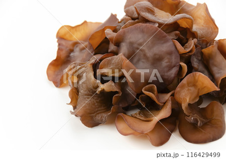 生きくらげ 116429499