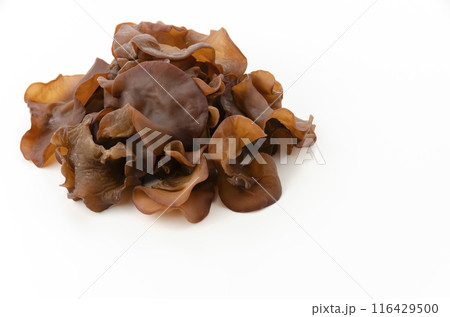 生きくらげ 116429500