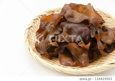 生きくらげ 116429501