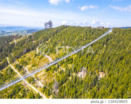 Aerial view of the Sky Bridge 721, the worlds longest suspension footbridge, stretching across a forested mountain in Czechia. The unique Sky Walk lookout tower stands nearby, offering panoramic views 116429605