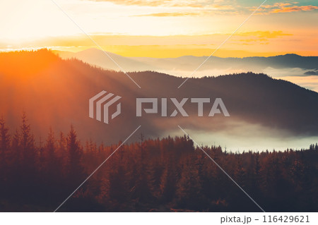 A panoramic view of a mountain range bathed in the golden light of sunrise. The peaks are shrouded in a thick layer of fog, creating a dramatic and ethereal landscape. 116429621