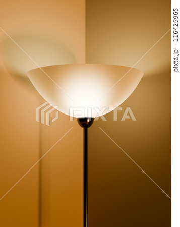 Floor lamp close-up 116429965