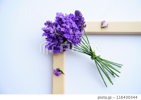 ラベンダーアレンジ ラベンダーアレンジ 116430344