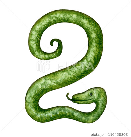Number two in the form of a green snake as a symbol of Happy Chinese New Year 2025 according to the zodiac sign of the year of the Snake. Watercolor illustration for templates of cards, congratulation Number two in the form of a green snake as a symbol of Happy Chinese New Year 2025 according to the zodiac sign of the year of the Snake. Watercolor illustration for templates of cards, congratulation 116430808