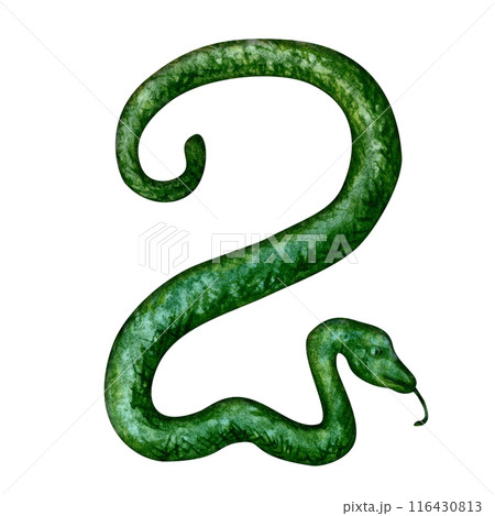 Number two in the form of a green snake as a symbol of Happy Chinese New Year 2025 according to the zodiac sign of the year of the Snake. Watercolor illustration for templates of cards, congratulation Number two in the form of a green snake as a symbol of Happy Chinese New Year 2025 according to the zodiac sign of the year of the Snake. Watercolor illustration for templates of cards, congratulation 116430813