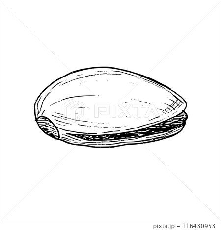 Pistachio nut graphic vector illustration . Botanical drawing sketch stylized. Isolated. Hand drawn, suitable for food packaging design 116430953