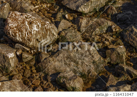 Mud on the rocks Mud on the rocks 116431047