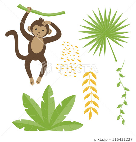 A wild animal. A cute monkey is hanging on a branch isolated on a white background. Flat vector illustrations for children. 116431227