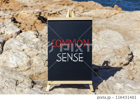 Common sense symbol. Concept words Common sense on beautiful black chalk blackboard. Beautiful stone sea blue background. Business, motivational common sense concept. Copy space. 116431481