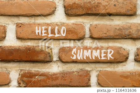 Hello summer symbol. Concept words Hello summer on beautiful brick wall. Beautiful red brown brick wall background. Business lifestyle Hello summer concept. Copy space. 116431636