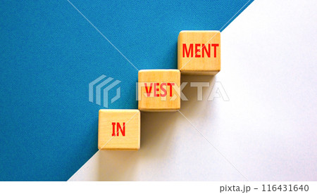 Investment symbol. Concept word Investment on beautiful wooden blocks. Beautiful white and blue background. Business investment concept. Copy space. 116431640