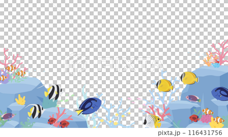 岩と珊瑚がある海底を熱帯魚が泳ぐ背景イラスト_16:9 116431756