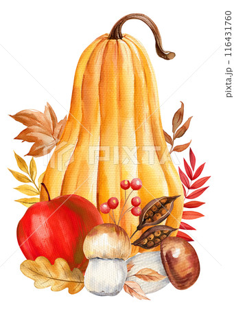 Pumpkin, mushroom, autumn leaves watercolor. Fall composition for design Halloween, Thanksgiving harvest festivals 116431760