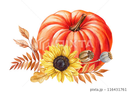 Pumpkin, sunflower, seed, autumn leaves watercolor Isolated. Fall composition for design, Thanksgiving harvest festivals Pumpkin, sunflower, seed, autumn leaves watercolor Isolated. Fall composition for design, Thanksgiving harvest festivals 116431761