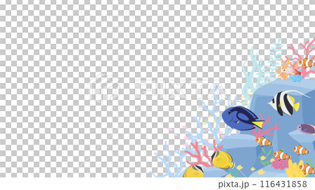 熱帶魚在有岩石和珊瑚的海底游泳的背景圖_16:9 116431858