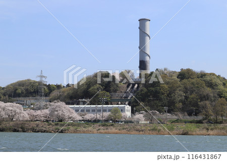 桜と佐久発電所 116431867