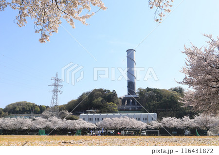 桜と佐久発電所と北橘総合グラウンド 116431872
