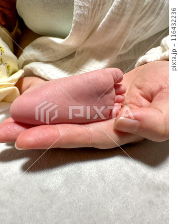 小さくて可愛い赤ちゃんの足の裏 小さくて可愛い赤ちゃんの足の裏 116432236