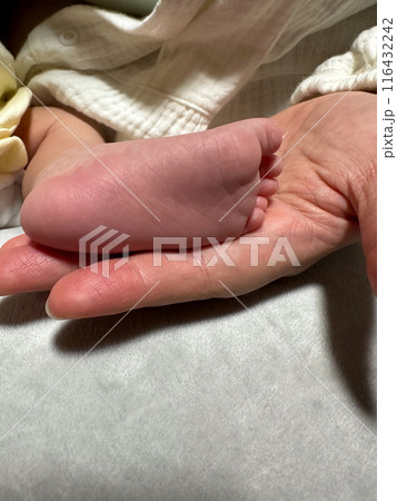 小さくて可愛い赤ちゃんの足の裏 小さくて可愛い赤ちゃんの足の裏 116432242