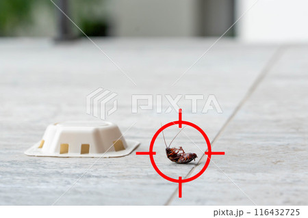 Red gun target aiming on dead cockroach upside down on the floor. Pest control concept Red gun target aiming on dead cockroach upside down on the floor. Pest control concept 116432725