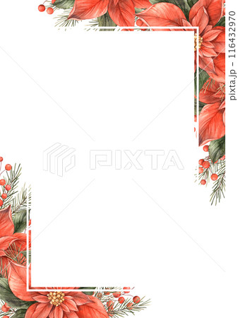 Poinsettia, Christmas red flower and green leaves. Hand drawn watercolor botanical design template in Christmas style. Ideal for Christmas invitations, greeting cards, flyers and seasonal promotions 116432970