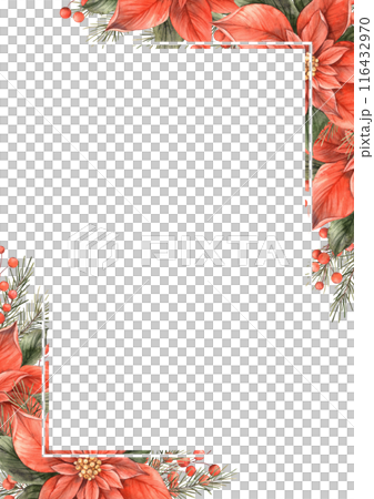 Poinsettia, Christmas red flower and green leaves. Hand drawn watercolor botanical design template in Christmas style. Ideal for Christmas invitations, greeting cards, flyers and seasonal promotions Poinsettia, Christmas red flower and green leaves. Hand drawn watercolor botanical design template in Christmas style. Ideal for Christmas invitations, greeting cards, flyers and seasonal promotions 116432970